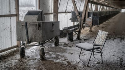 L&aelig;sere p&aring; Fagbladet 3F's Facebookside er bekymrede over nedrivningen af minkfarme, der indeholder asbest.