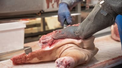 Lukningen af Danish Crown i Frederikshavn i sommer var med til at sende mange slagteriarbejdere (NNF-medlemmer) ud i ledighed i det nordjyske. Det er bare en del af forklaringerne på den stigende ledighed i regionen.