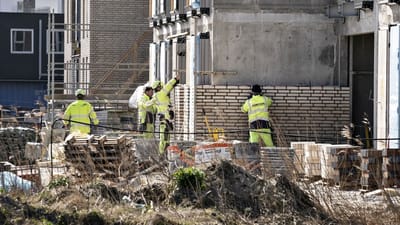 En ny analyse viser, at de samfunds&oslash;konomiske omkostninger ved arbejdsulykker er 28,4 milliarder kroner om &aring;ret.
