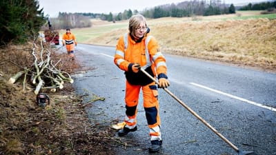 Der er stor forskel p&aring; hvad de mandlige og kvindelige 3F'ere tjener, viser nye tal.