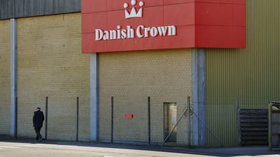 Danish Crown har meldt ud, at lukningen af slagteriet i Ringsted kommer til at ske fra midten af september.