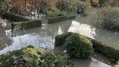 Dette triste syn mødte Ulla Christensen Wiese, da hun i efteråret ville pynte sin mands gravsted på Tranebjerg Kirkegård på Samsø.