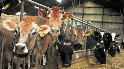 Landmand Gunner J&oslash;rgensen betegner sagens afg&oslash;relse som en sejr, selvom han blev d&oslash;mt til at betale godt 40.000 kroner. For 3F havde rejst et krav p&aring; i alt 154.000 kroner til de to ukrainere.