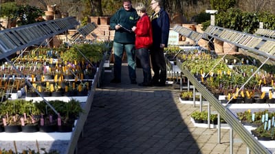Arbejdstilsynet har konstateret, at en underleverand&oslash;r hos M&oslash;lleg&aring;rdens Planteskole p&aring; Fyn har overtr&aring;dt loven om arbejdsmilj&oslash;. Planteskolen p&aring; arkivbilledet har intet med sagen at g&oslash;re. 