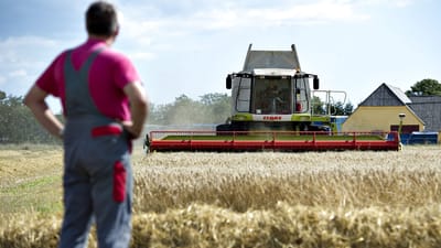 Danske gårde er blevet færre, men større. Det betyder færre selvstændige og flere lønmodtagere - det er bare ikke danskere, der får de nye job.