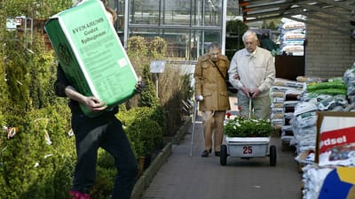 Planteskolen har f&aring;et en stor merudgift ved at bruge udenlandske arbejdskraft.