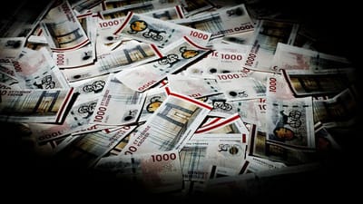 Gode lønninger og opsparinger samt gevinster på bolig- og aktiemarkedet har givet et stigende antal danskere med en høj uddannelse mulighed for at forlade arbejdsmarkedet før tid. De ufaglærte har ikke de samme muligheder, og det fører til en øget ulighed i mønstrene for tilbagetrækning, advarer arbejdsmarkedsøkonom.