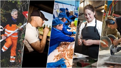 For nylig viste tal fra Danmarks Statistik, at en lønmodtager i Danmark i 2021 tjente 265 kroner i gennemsnit. Se hvad udvalgte 3F-fag tjener her.