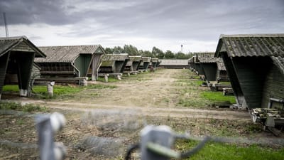 Mange minkfarme skal nu rives ned, efter at minkene for l&aelig;ngst er blevet aflivet. Det er forventet, at der vil v&aelig;re asbest i flere af minkfarmenes tage.