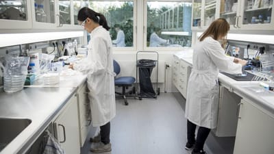 Kvindelige laboranter p&aring; Novozymes tabte fredag stor ligel&oslash;nssag i en faglig voldgift.