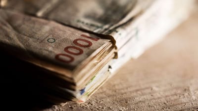 Du har som kunde i PensionDanmark mulighed for at skrue op og ned for risikoen p&aring; din pensionsopsparing.