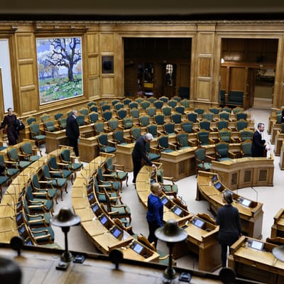 Folketinget vedtager al lovgivning i Danmark. Men en underskov af bekendtg&oslash;relser flytter magten ud til styrelser, ministerier og tilsyn, viser forsningsprojekt. (Arkivfoto.)