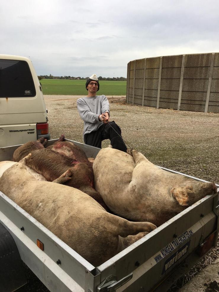 29-årige Edhar Kordon føler sig udnyttet af en dansk svineproducent.
