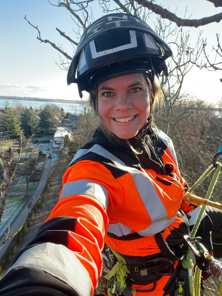 Felixia Banck har uddannet sig til at klatre i træer for at kunne beskære og fælde træer både professionelt og sikkert, og hun arbejder som såkaldt arborist.
