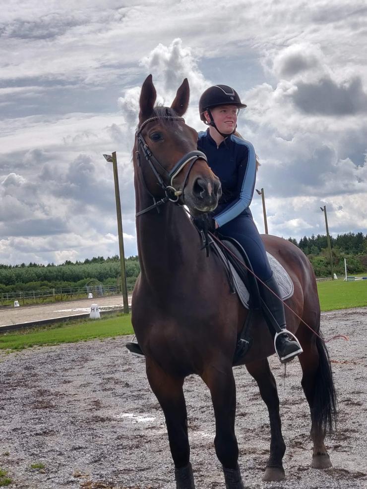 19-årige Katrine Hansen rider på sin 11-årige hest Cille Søndervang, der er af racen Oldenborg fra Tyskland. 