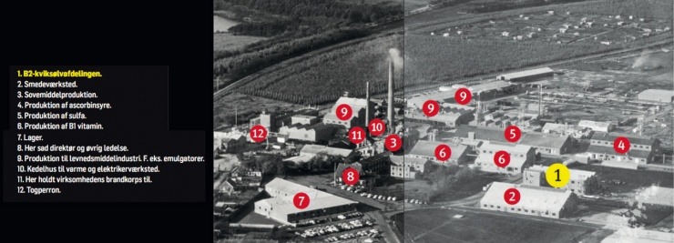 Ansatte på Grindstedværket blev forgiftet af kviksølv i 1950'erne og -60'erne.