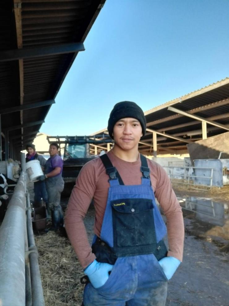 24-årige Pongpada Praithongyam fra Thailand har arbejdet i dansk landbrug siden november 2019. 