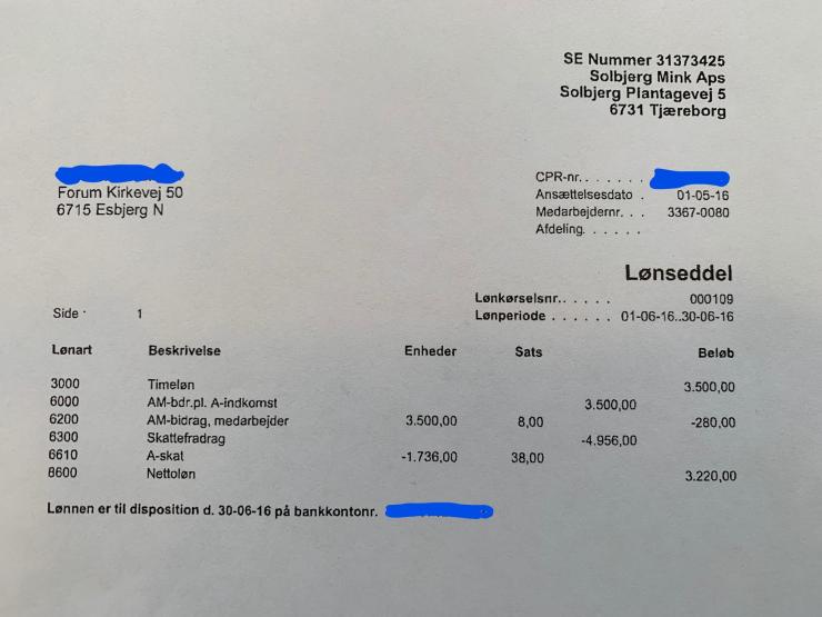 Olena tjente 3.500 kroner før skat i maj og juni 2016. 