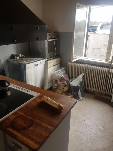 Der kravlede, ifølge arbejderne, rotter rundt i køkkenet. 