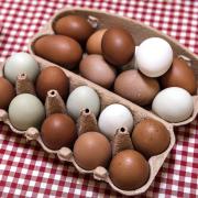 Økologiske æg er vundet frem over en årrække sammen med økologisk mælk. (Arkivfoto).