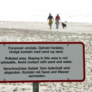 Frem til 1973 blev der udledt 300.000 ton giftigt spildevand fra Grindstedværket ud i klitterne ved Henne Strand. Derfor står der stadigt advarselsskilte på stranden. (Arkivfoto).
