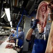 Tusindvis af slagteriarbejdere har mistet deres arbejde i løbet af de senere år på grund af lukninger af slagterier i Danmark.