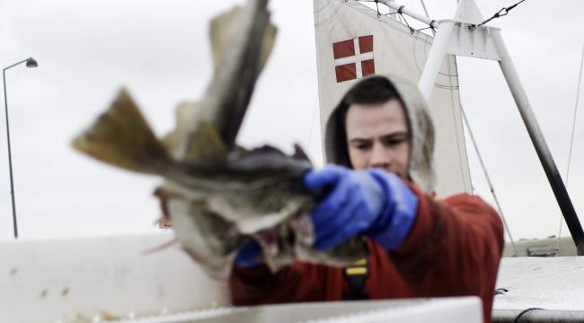 Arkivfoto. fiskere igen kan fiske i norsk farvand.