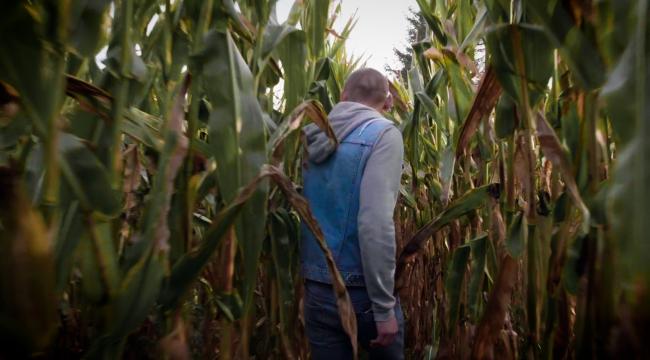 Den 28-årige ukrainer Denys har som fodermester ifølge sin egen opgørelse betalt 102.000 kroner af sin løn tilbage til en dansk landmand i løbet af sin ansættelse fra sommeren 2017 til foråret 2021.