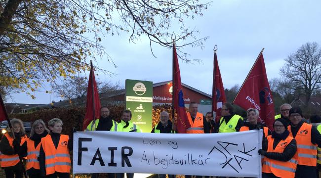 Faglige folk fra 3F har to gange demonsteret imod social dumping foran Møllegårdens Planteskole på Fyn, der indtil forleden brugte underbetalt og konfliktramt arbejdskraft fra firmaet Goskov ApS.