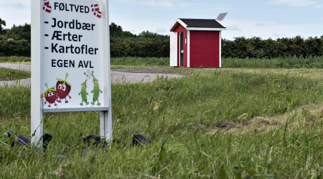 En af Danmarks største jordbærproducenter, Føltved ApS, i Nordjylland har stoppet levering af jordbær til flere butikker. Firmaet har også solgt jordbær fra cirka 20 vejboder i det nordlige Jylland.