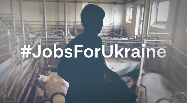 Med lønningerne ned til 70 kroner i timen formidler danske vikarbureauer job til ukrainere på flugt fra krigen.
