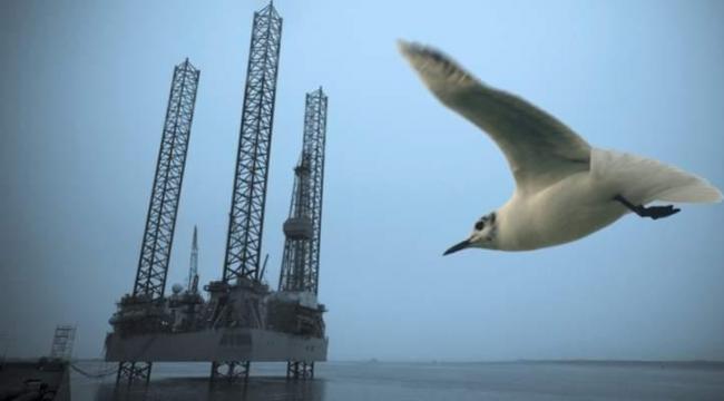 Mærsk har i en årrække været det olieselskab, der har fået flest sikkerhedspåbud på oliefelterne i den britiske del af Nordsøen.
