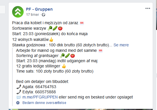 PF Gruppen tilbyder arbejde til 12 personer
