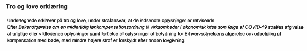 Direktør Thomas Bidstrup har skrevet under på, at oplysningerne er retvisende.