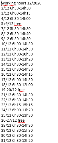 Nguyễn Nhungs egen opgørelse over sine arbejdstimer i december 2020.